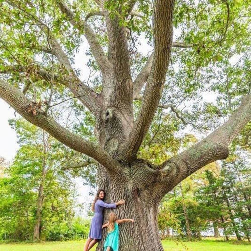 Meet your Posher, Kristina